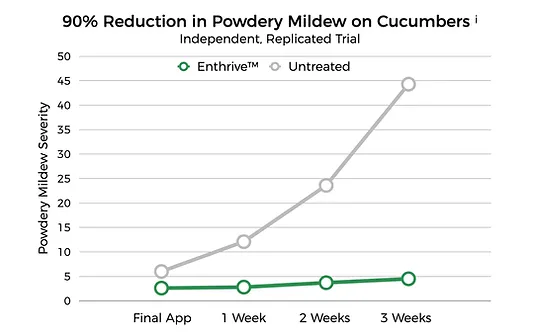 Chart Data - Enthrive