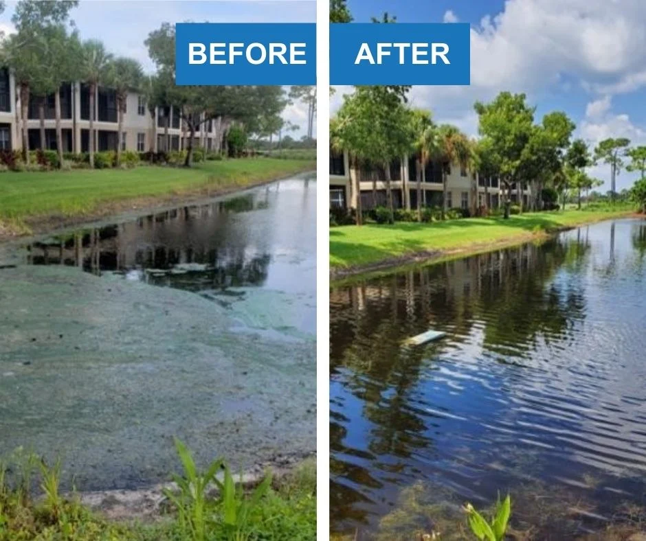 Before and after images of a pond that had nanobubbles inserted into it by a Moleaer Kingfisher. The water is much cleaner in the after image.