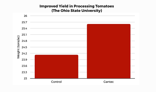 gantec-processing-graph